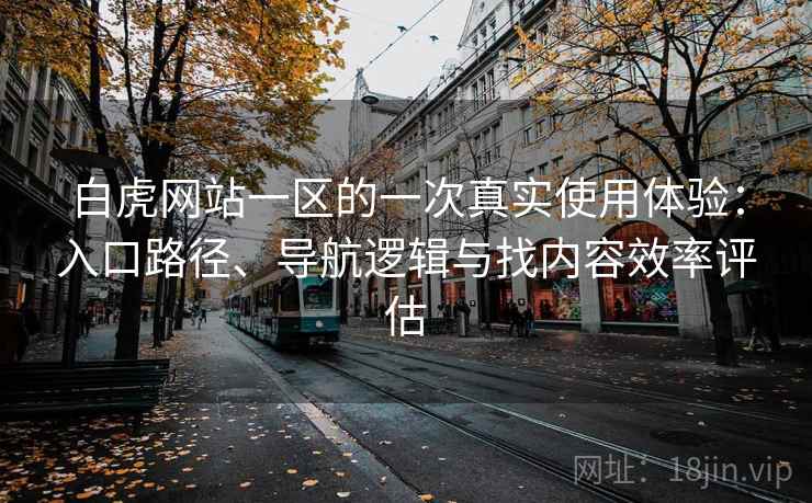 白虎网站一区的一次真实使用体验：入口路径、导航逻辑与找内容效率评估