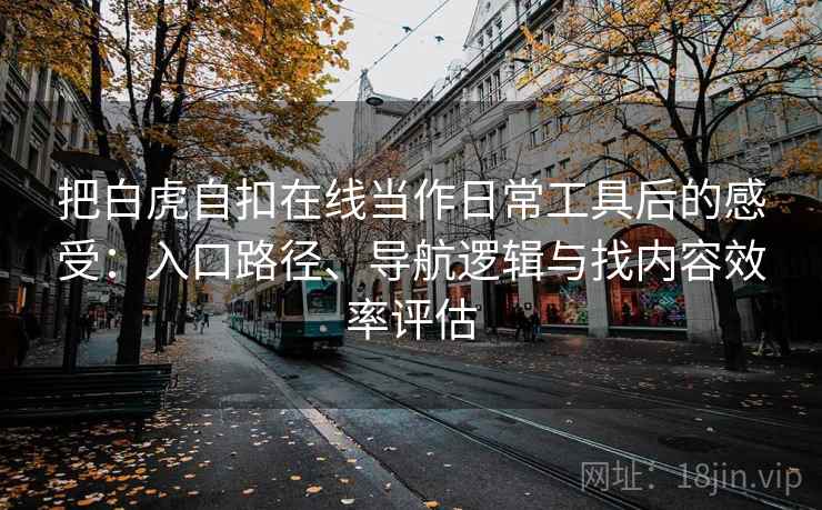 把白虎自扣在线当作日常工具后的感受：入口路径、导航逻辑与找内容效率评估