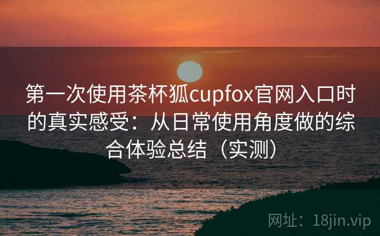 第一次使用茶杯狐cupfox官网入口时的真实感受：从日常使用角度做的综合体验总结（实测）