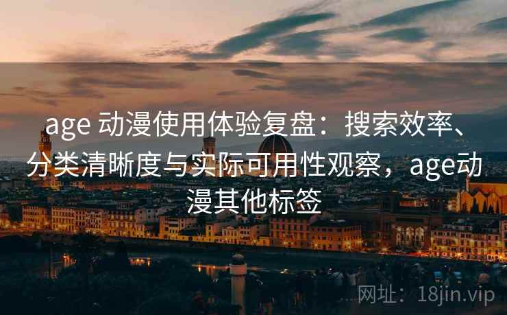 age 动漫使用体验复盘：搜索效率、分类清晰度与实际可用性观察，age动漫其他标签