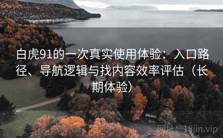 白虎91的一次真实使用体验：入口路径、导航逻辑与找内容效率评估（长期体验）