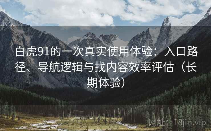 白虎91的一次真实使用体验：入口路径、导航逻辑与找内容效率评估（长期体验）