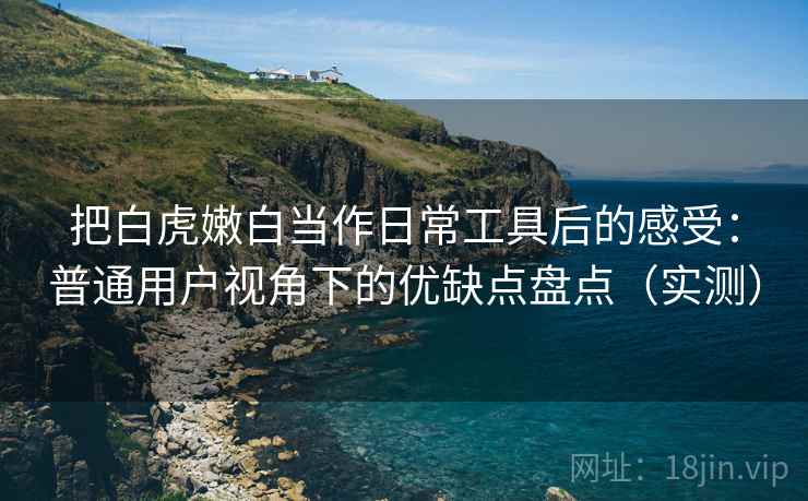 把白虎嫩白当作日常工具后的感受：普通用户视角下的优缺点盘点（实测）