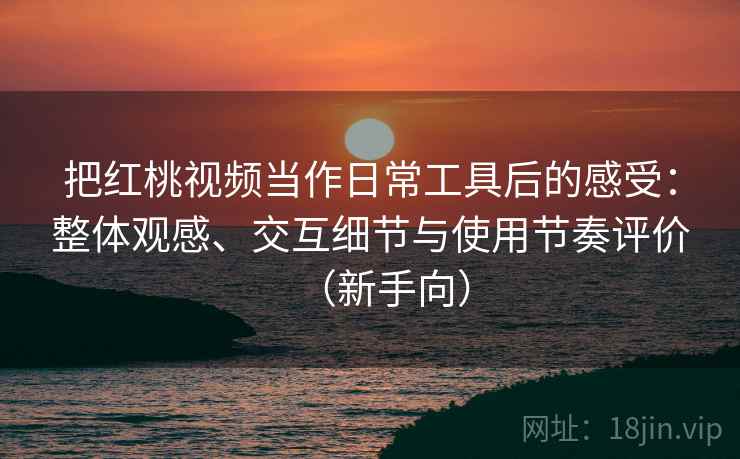 把红桃视频当作日常工具后的感受：整体观感、交互细节与使用节奏评价（新手向）