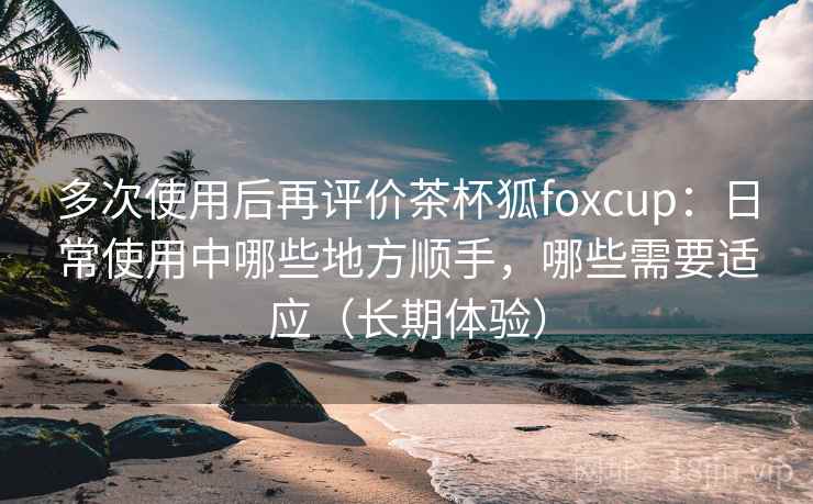 多次使用后再评价茶杯狐foxcup：日常使用中哪些地方顺手，哪些需要适应（长期体验）