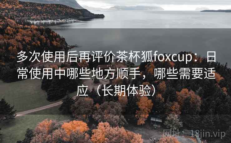 多次使用后再评价茶杯狐foxcup：日常使用中哪些地方顺手，哪些需要适应（长期体验）